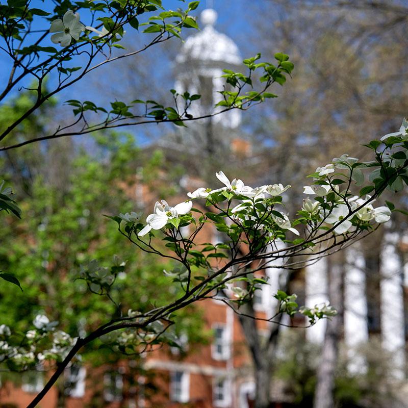 Myers Hall With Flowers In Spring