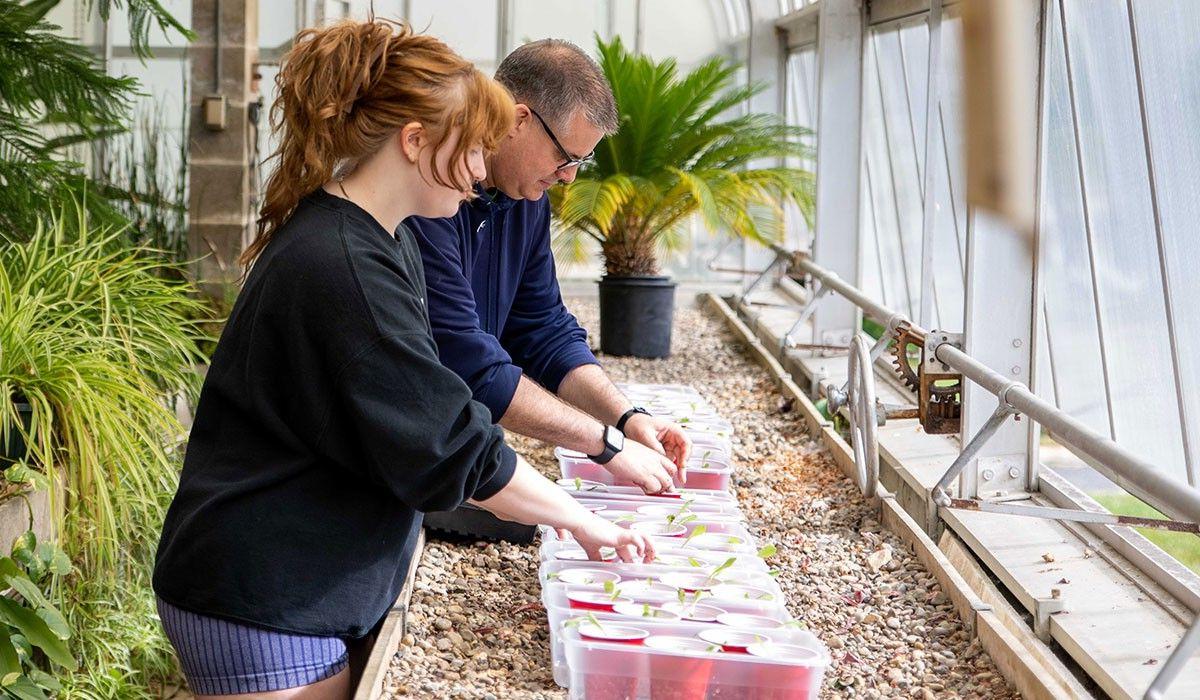 Professor Collier and Sarah Fitterer Biology Research