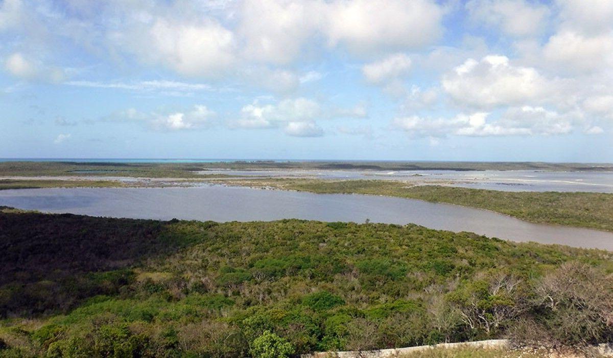 View of the island from the top of the lighthouse