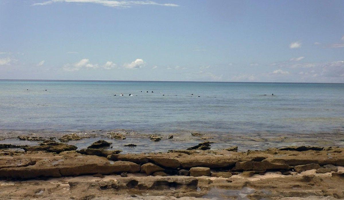 View of snorkelers in shallow water near shore