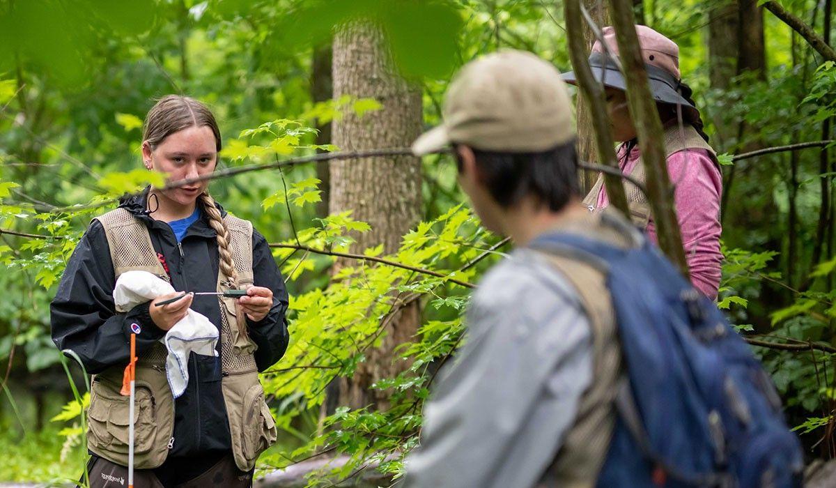 Turtle Research Wittenberg Students