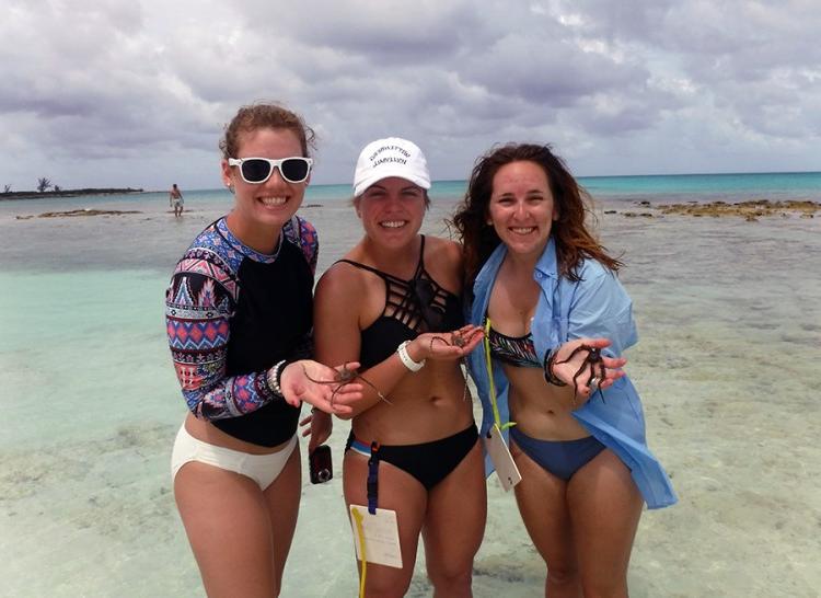 Kaity, Madison, and Cora holding 3 brittle stars