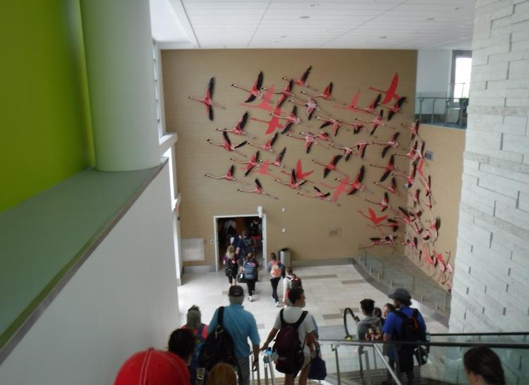 Airport flamingoes