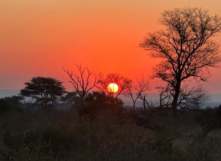 Sunset in Kruger National Safari